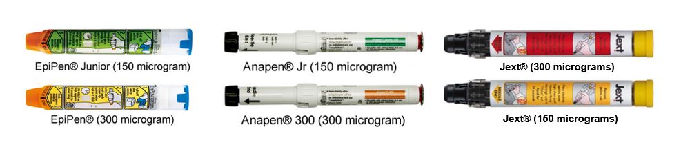 EPINEPHRINE (adrenaline), 0.3mg/0.3ml, auto-inject. pref.