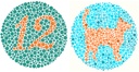 ISHIHARA TEST, colour-discrimination, 38 plates