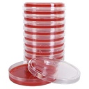 TRYPTIC SOY AGAR BASE II w/5% horse blood, plate, 20pcs