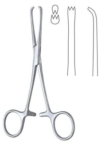 FORCEPS, TISSUE, CHAPUT, 14 cm, 2 x 3 teeth 17-30-14