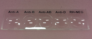 PLATE, blood grouping, smooth, with 5 cavities