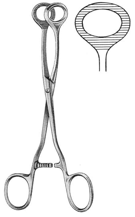 FORCEPS, HAEMOST.& TISSUE, COLLIN, 16 cm, oval jaws 17-32-16