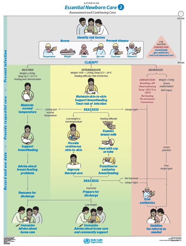 ESSENTIAL NEWBORN CARE 2 Action Plan Poster English