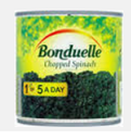 SPINACH, 400g, tin