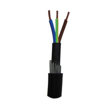 CABLE rigid, 2x6mm² + ground, armoured, per metre