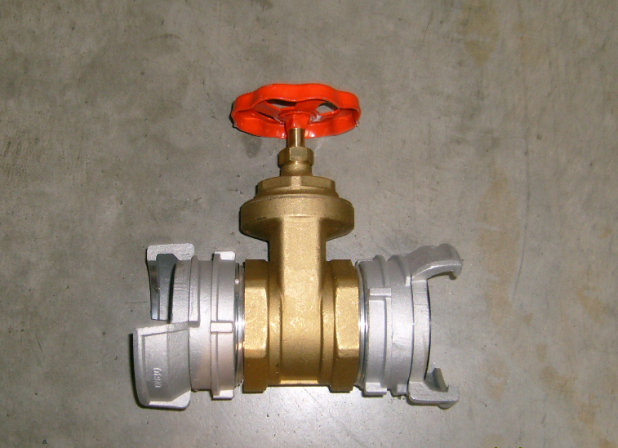ASSEMBLY gate valve, 3" + couplings + lock