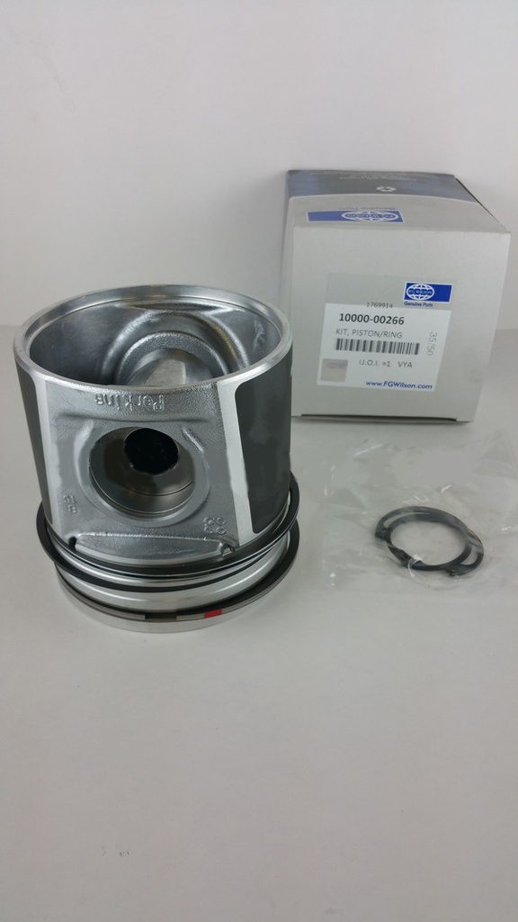 PISTON & RING SET standard size