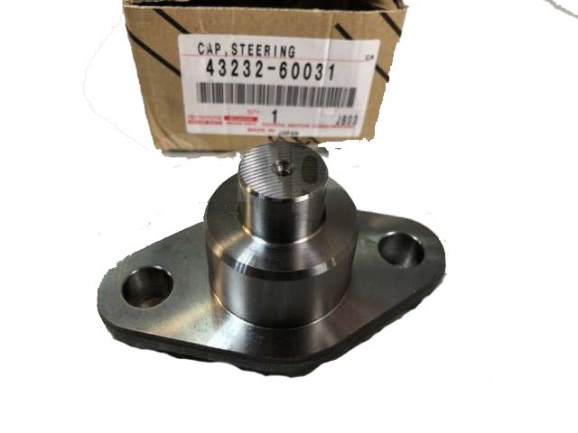 CAP steering knuckle bearing, HZJ7#