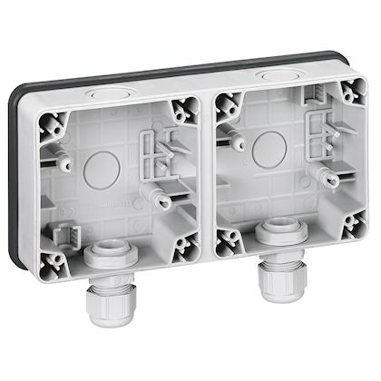 BOITIER double (Legrand Plexo) hor, 2 entrées M20, IP66 gris