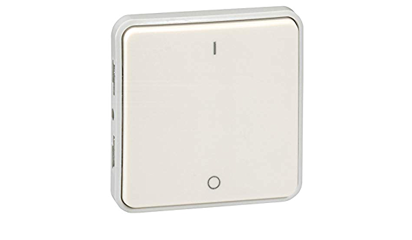 SWITCH w/o sup, 2 poles, 1 throw (Legrand Plexo) IP55, white