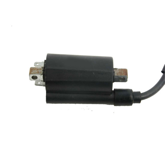 IGNITION COIL, XL125L