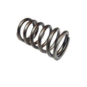 VALVE SPRING