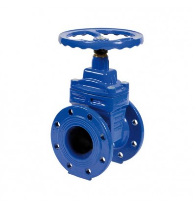 GATE VALVE, cast iron, DN65, flange