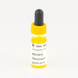 [SSDTBLOG1B-] BLOOD GROUPING TEST, anti B (Lorne), 10 ml, dropper bot.