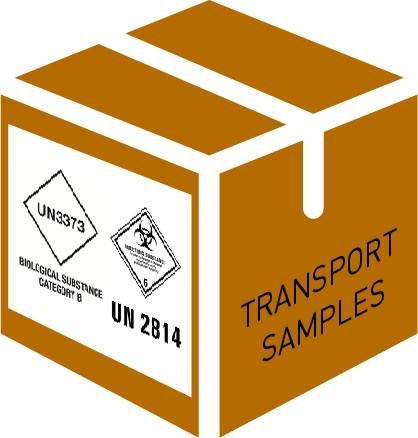 MODULE, TRANSPORT INTERNATIONAL ECHANTILLONS