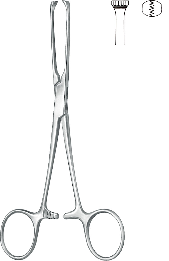 FORCEPS, INTESTINE/TISSUE,ALLIS, 15 cm, 5x6 teeth 50-02-16