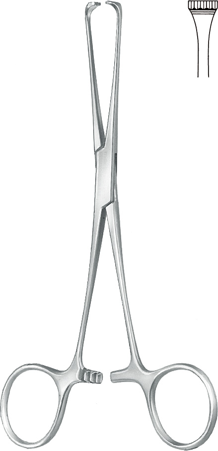 FORCEPS, INTESTINE/TISSUE,ALLIS, 19 cm, 5x6 teeth 50-02-19