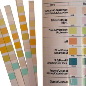 TEST URINE pH,bili,prot,gluc,cét,sang,nit,leuco, 1 bandel.