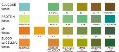 TEST, URINE, glucose, sang, protéine, pH, 1 bandelette