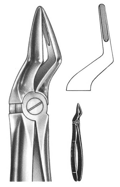 FORCEPS, DENTAL, n°51A, upper roots, 300-05-11