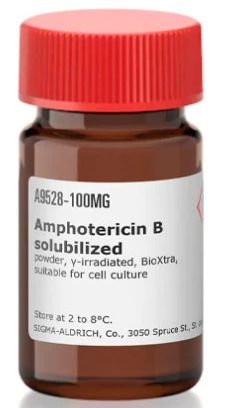 AMPHOTERICIN B SUPPL, powder, 250mg [Sigma-A9528-250MG]