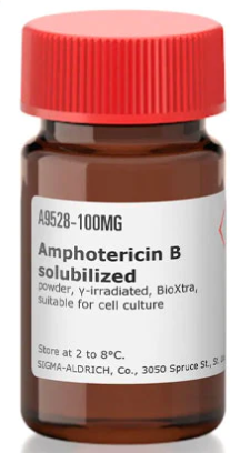 AMPHOTERICINE B SUPPL, poudre, 250mg [Sigma-A9528-250MG]