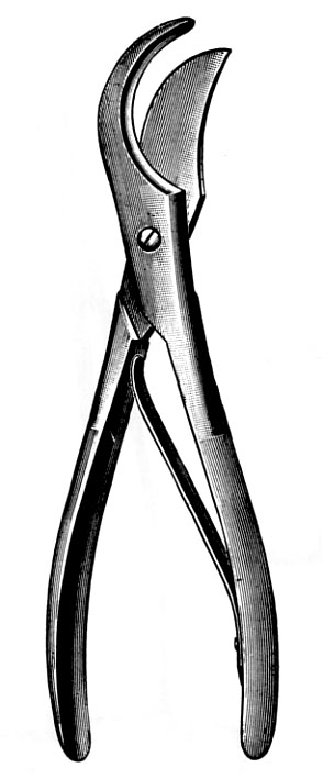 SHEARS, RIB, straight, 22 cm 54-10-22