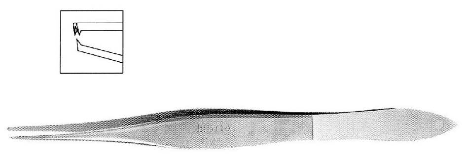 FORCEPS, LESTER, with teeth, H-3290/M-2280A