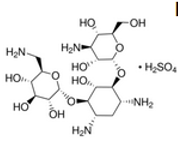 KANAMYCIN sulfate, powder, 1 g  [Sigma-K1377-1G]