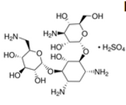 KANAMYCINE sulfate, poudre, 1 g [Sigma-K1377-1G]