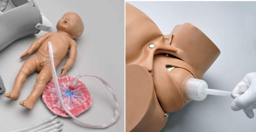 MANNEQUIN FOETUS pour dégagement avec ventouse