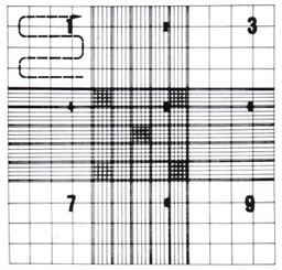 [ELABCOCN5D-] COUNTING CHAMBER NEUBAUER, improved, double grid