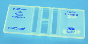 CELLULE A NUMERATION, FUSCH-ROSENTHAL, simple quadrillage