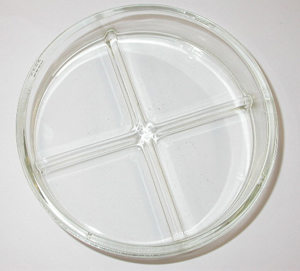 PETRI DISH, plastic, sterile, 2 compartments Ø 94 mm