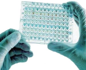 (ELISA) KIT TSH, plaque 96 tests  (Human 54030)