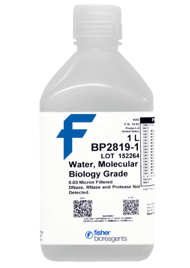 WATER molecular biology grade, 100 ml