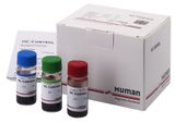 (HA HUMACOUNT) CONTROL KIT, 3 x 2.5 ml 17400/40