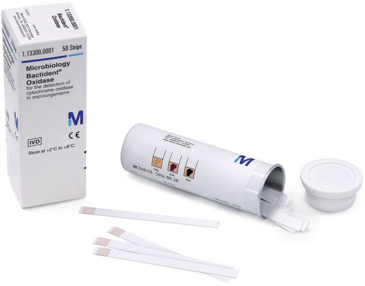 OXIDASE TEST, strip [OXD-MB0266A]