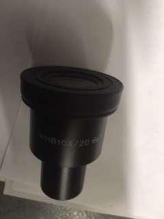 (micr., Olympus CX21) EYEPIECE