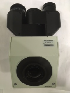 (micr., Olympus CX21) BINOCULAR HEAD