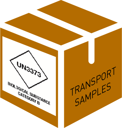 (mod hospital lab) TRANSPORT SAMPLES