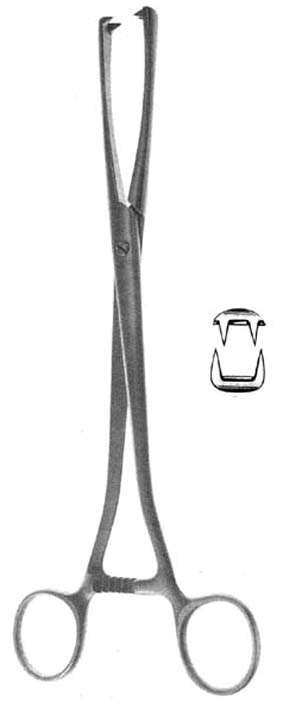 FORCEPS, MUSEUX, 24 cm, straight, 10 mm, 2x2 teeth 52-48-03