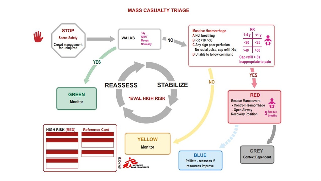 CARD, MASS CASUALTY TRIAGE ALGORITHM, En, A4, recto/verso