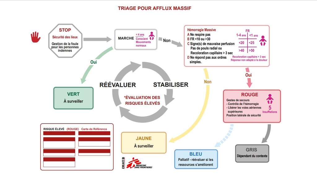 CARTE, TRIAGE AFFLUX MASSIF ALGORITHME, fran, A4, r/v