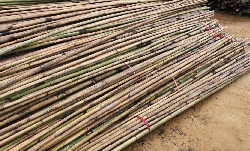 POLE, bamboo, small diameter