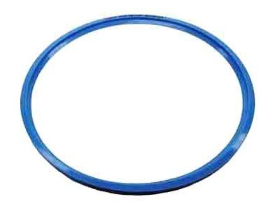 (autoclave Tuttnauer 2840EL-D) DOOR GASKET, GAS080-0260