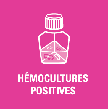 (MiniLab) STICKER module 4, positive blood cult, 50x50mm, FR