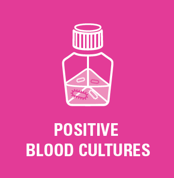 (MiniLab) STICKER module 4, positive blood cult, 50x50mm, EN