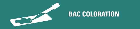 (MiniLab) AUTOCOLLANT module, bac coloration, 100x20mm, FR