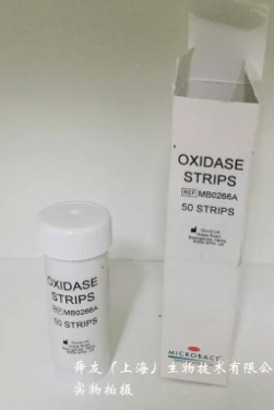 OXIDASE TEST, strip [OXD-MB0266B]